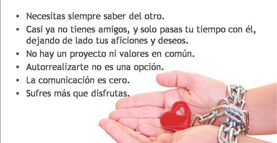 151_articulo113_ideal2