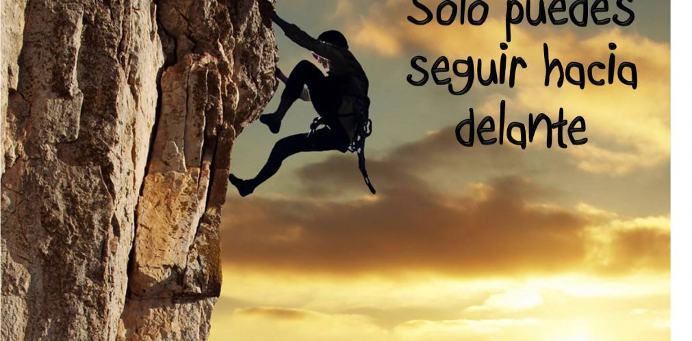 109_articulo71_IDEAL3