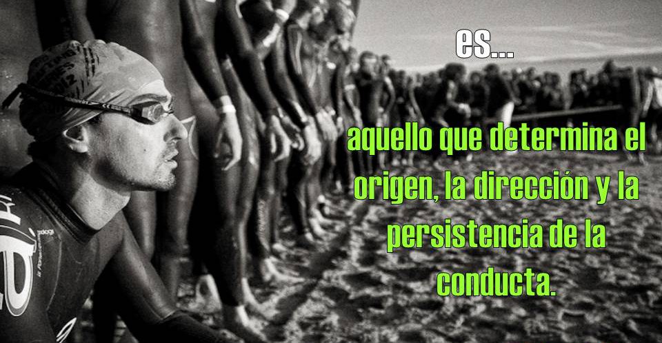 154_Articulo116_IDEAL2_Motivacion