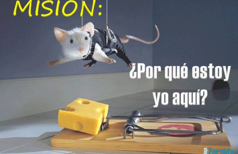 mision-vision-objetivos-zoraida-768x576