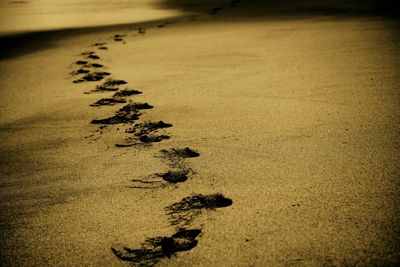 sand-768783_960_720