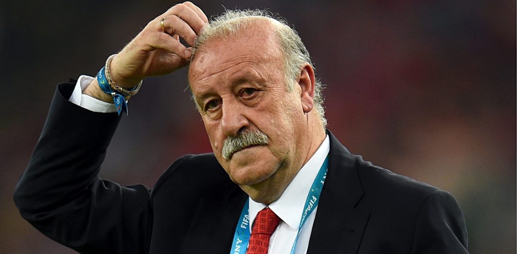 Vicente del Bosque looks on in despair during Spain's 2-0 defeat by Chile in the World Cup.